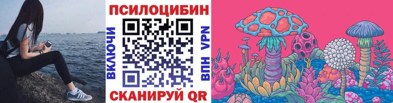 Псилоцибиновые грибы Cubensis  Ессентукская 